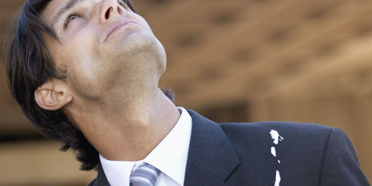 راهنمای پاک کردن مدفوع پرندگان از لباس